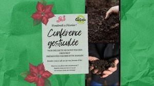 Conféfrence gesticulée